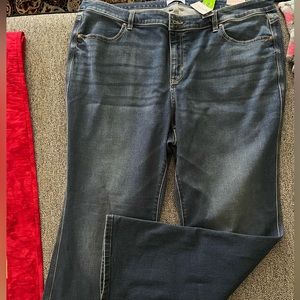 Lane Bryant 24 flare jeans NWT